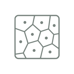 Voronoi cells