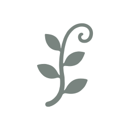 Vines