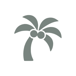 Palm tree