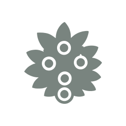 Berry bush icon