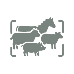 Livestock