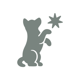 Pet trick
