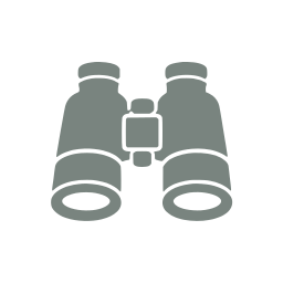 Binoculars icon