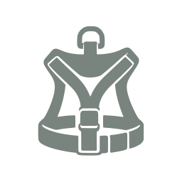 Pet harness