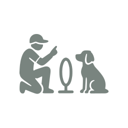 Pet training