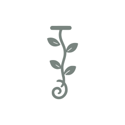 Climbing vine