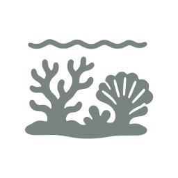 Coral reef icon