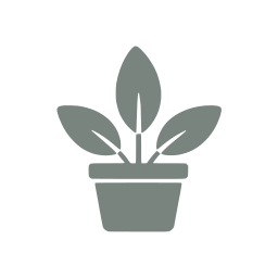 Houseplant
