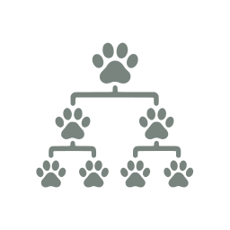 Pedigree