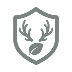 Druid class