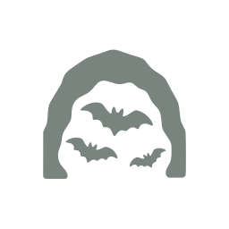 Cave bats