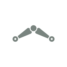 Rig bone