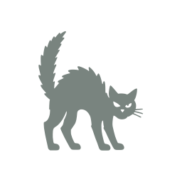 Black cat