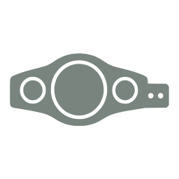 Championship belt