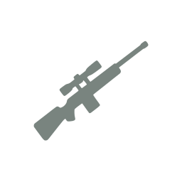 Rifle