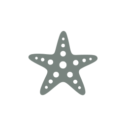 Starfish icon