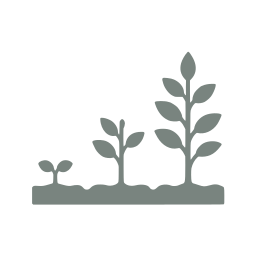 Growth stages