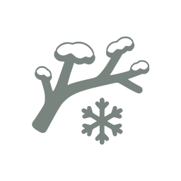 Winter icon