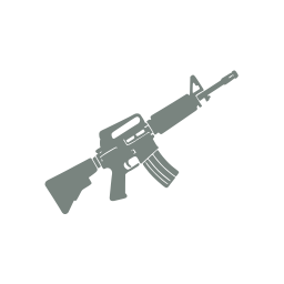 Assault rifle