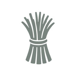 Plant fibre