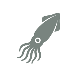 Squid