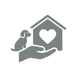 Adoption