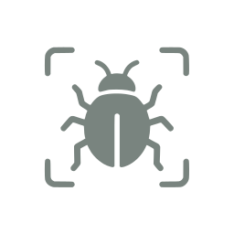Bug