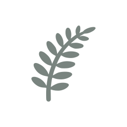 Fern icon
