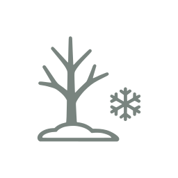 Winter season icon