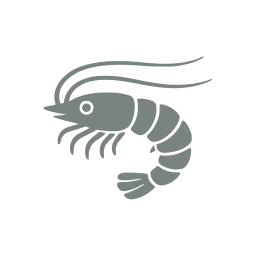 Shrimp