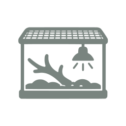 Terrarium