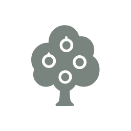 Orchard tree icon