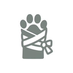Bandaged paw