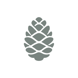 Pinecone icon