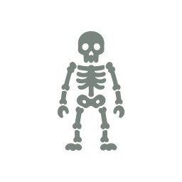 Skeleton