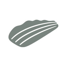 Fish fillet icon