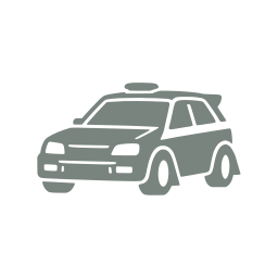 Rally car