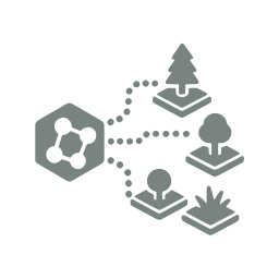 Vegetation generation