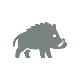 Boar icon