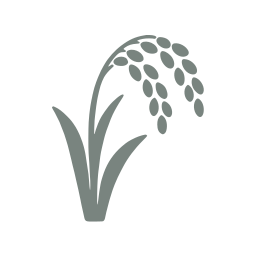 Rice stalk icon