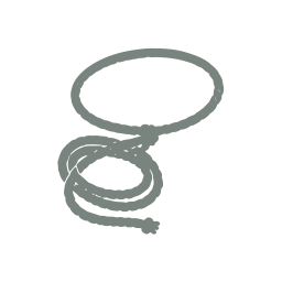 Lasso