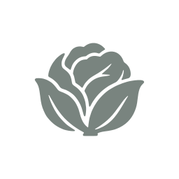 Cabbage icon