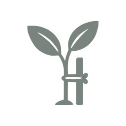Sapling icon