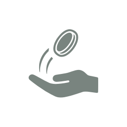 Coin flip