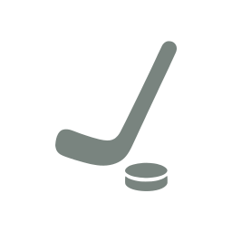 Hockey stick
