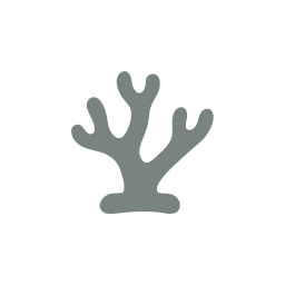 Coral icon