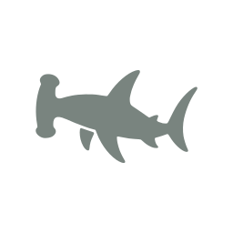 Hammerhead
