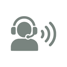 Voice chat