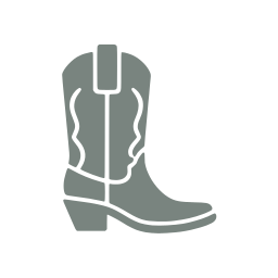 Cowboy boots