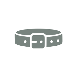 Belt icon